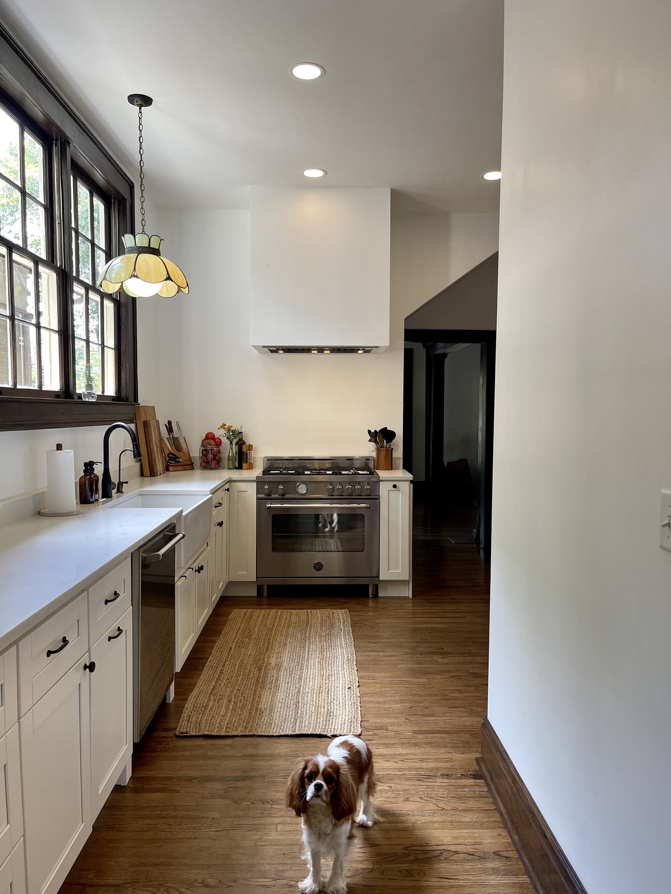 Birmingham kitchen — galley view with farmhouse sink, stainless range, and tiffany pendant